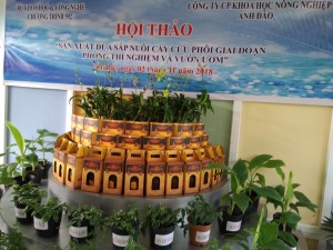 Hội thảo khoa học về cây dừa sáp