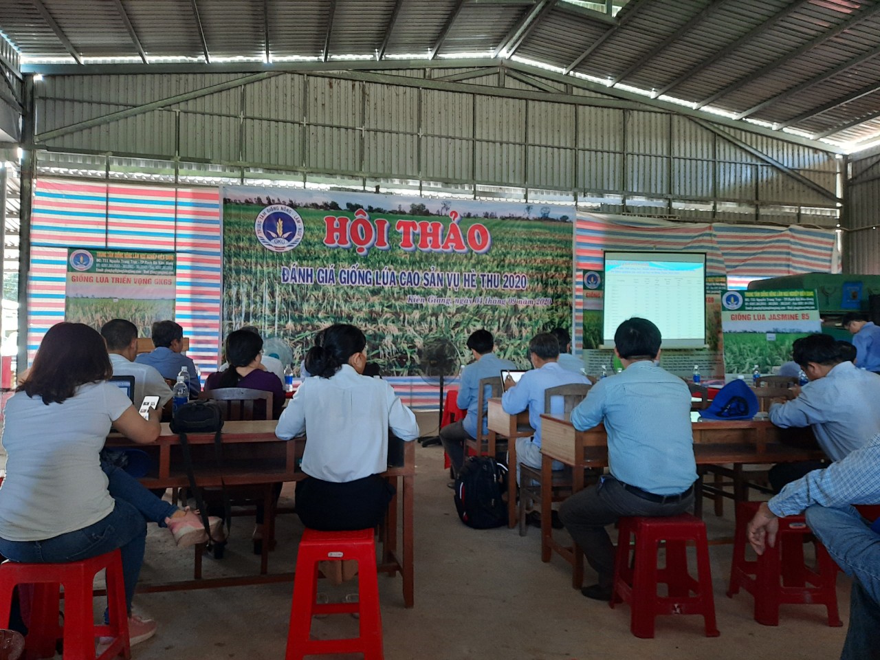 Hội thảo đánh giá giống lúa vụ Hè thu năm 2020 tại Trung tâm giống nông lâm ngư nghiệp Kiên Giang